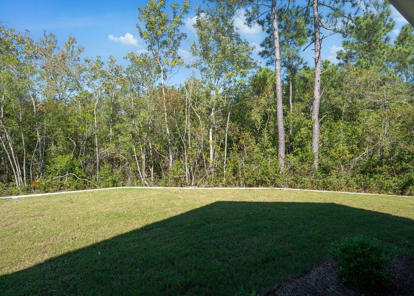 Natural landscape and outdoor views near Carolina Creek in Hampstead (Image 30). Natural landscape and outdoor views near Carolina Creek in Hampstead (Image 30).