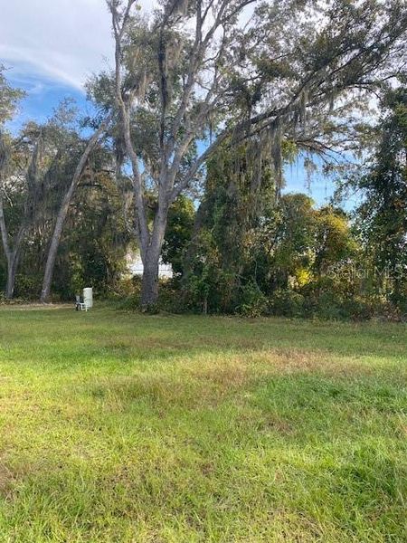 Natural landscape and outdoor views near  in Ocklawaha (Image 47).
