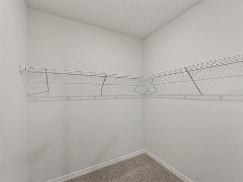 Spacious, unfurnished interior of a new home in Coasterra - Premier Series, Palmetto (Image 11).