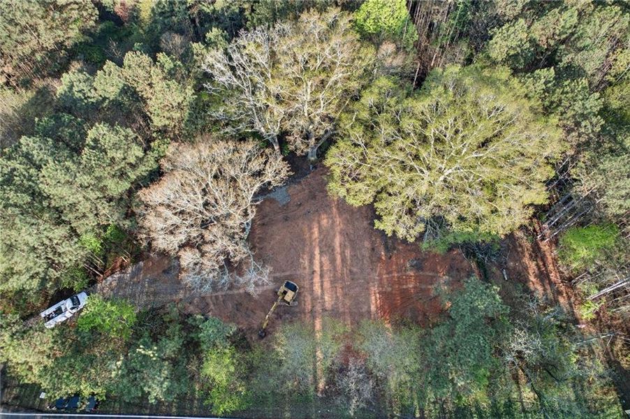 Natural landscape and outdoor views near  in Tallapoosa (Image 40).