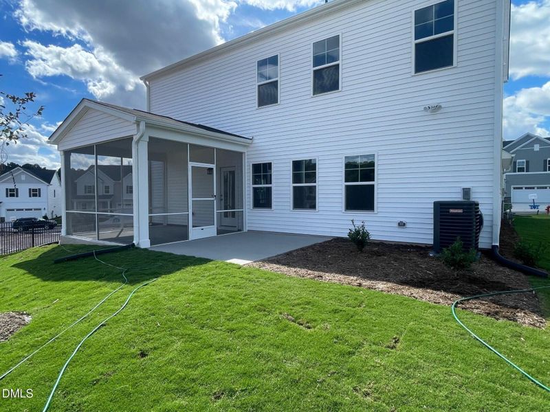 Screened Porch and Patio