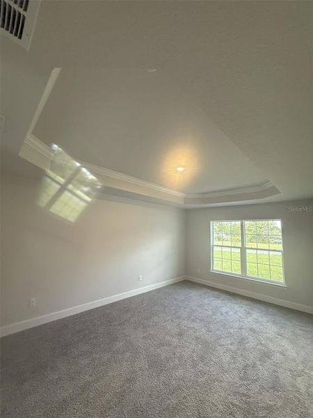 Owner's suite tray ceiling Owner's suite tray ceiling