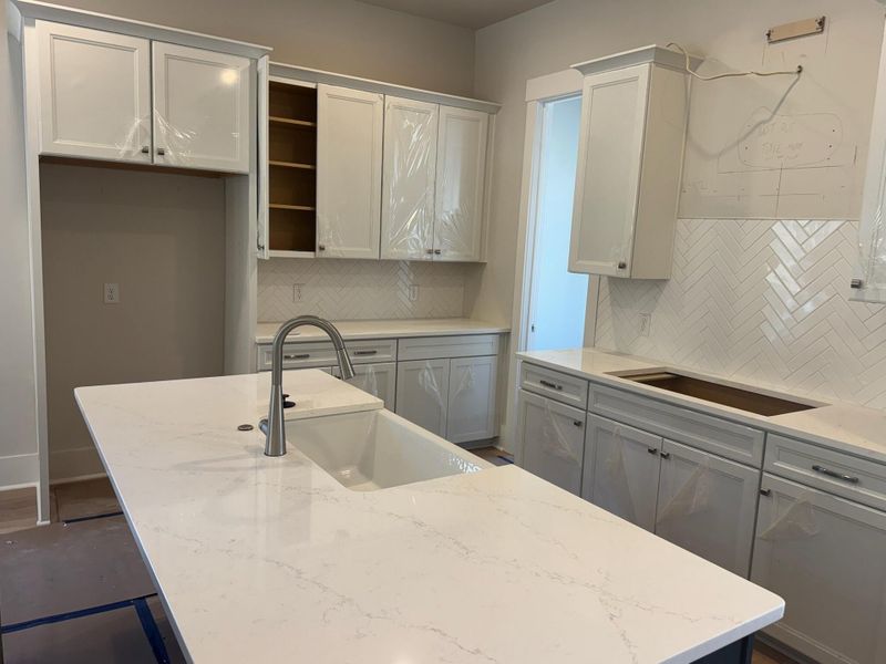 Image 50 of a home in Indigo Grove Single Family Homes.