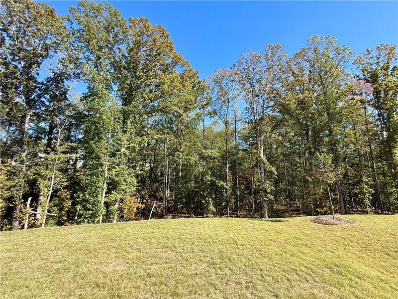Natural landscape and outdoor views near Vines at Mill Creek - Estate Series in Braselton (Image 25). Natural landscape and outdoor views near Vines at Mill Creek - Estate Series in Braselton (Image 25).