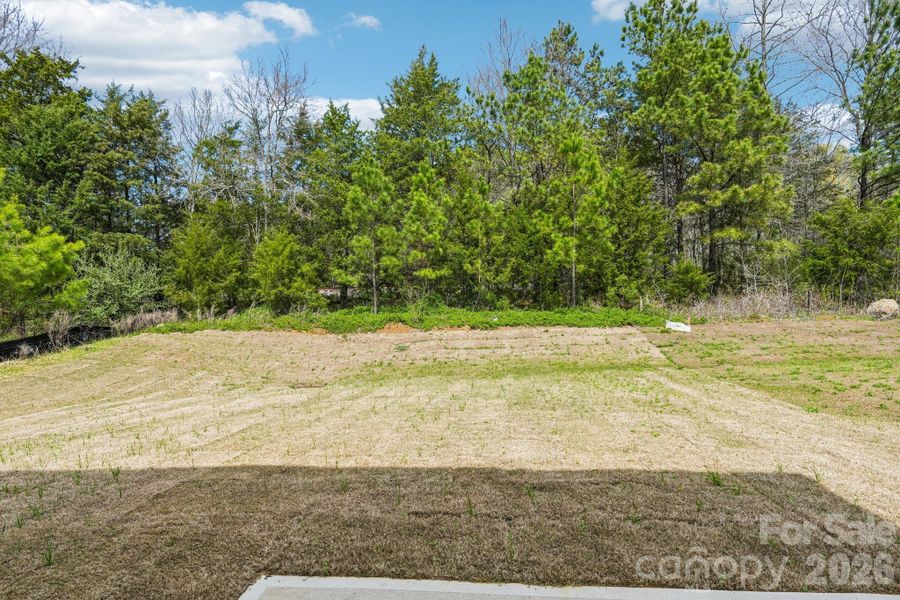 Natural landscape and outdoor views near Woodhaven at Chester in Chester (Image 39).