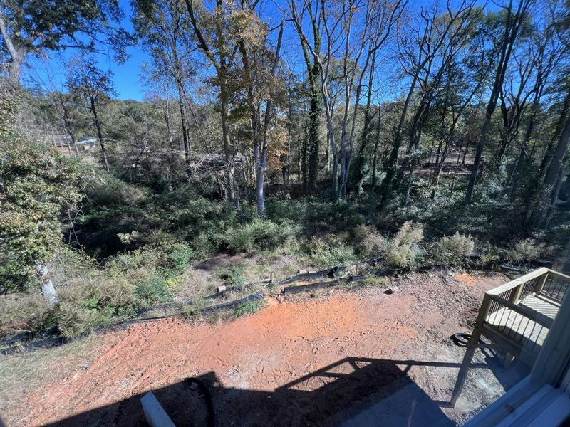 Natural landscape and outdoor views near Red Bird Manor in Jefferson (Image 26).