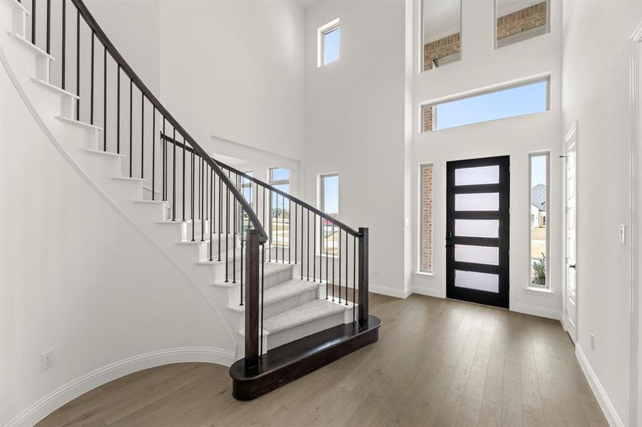 03. 405 Wood Duck - Entry