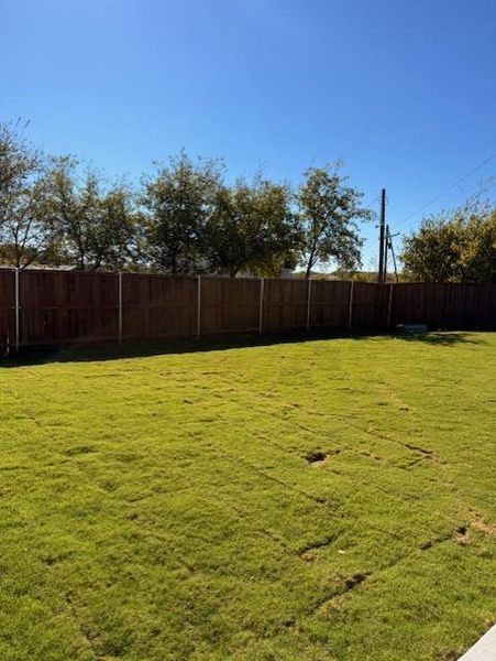 Exterior details and patio area of a home in , Venus (Image 18).