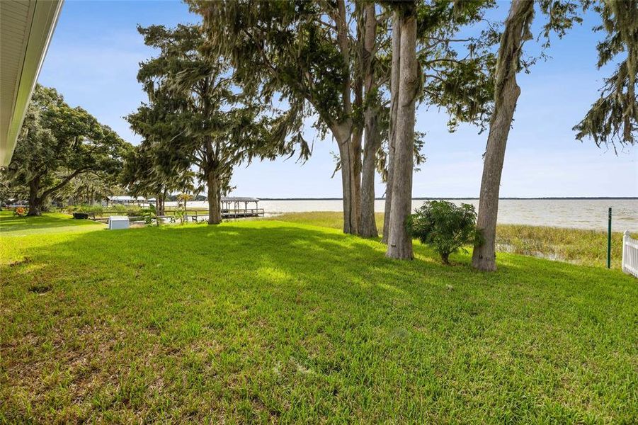 Natural landscape and outdoor views near  in Tavares (Image 32).