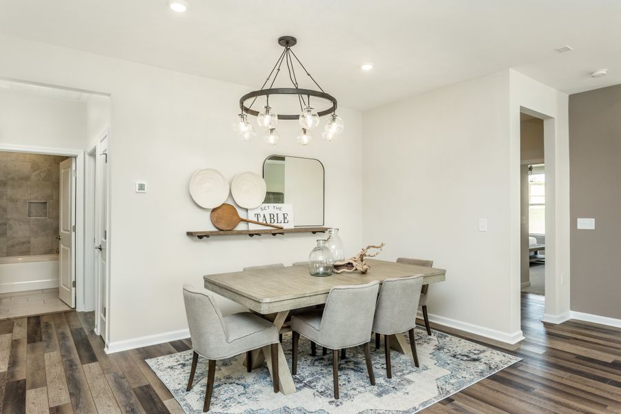 Model Representation