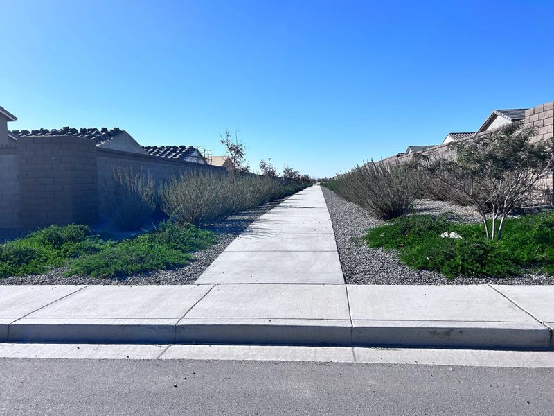 Walking path behind lot