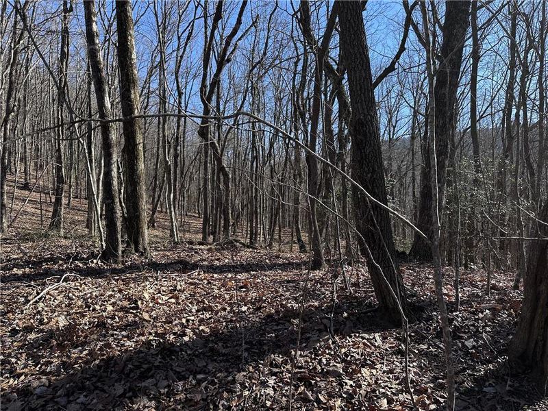 Front exterior of a new home in , Ellijay, GA, highlighting curb appeal (Image 2).