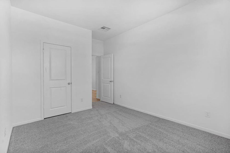 615 Yaupon Holly ~ Ready Now 615 Yaupon Holly ~ Ready Now