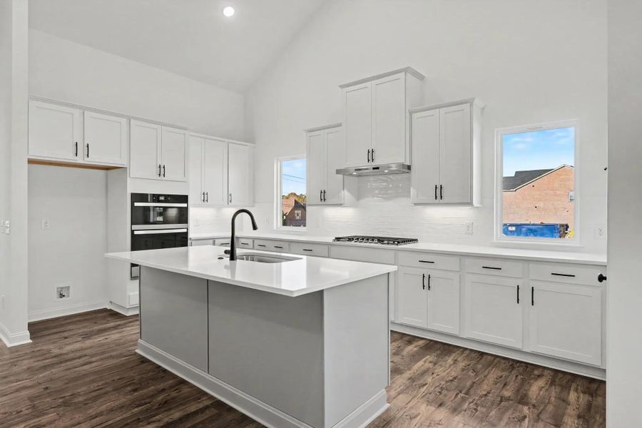 Shannon C Kitchen