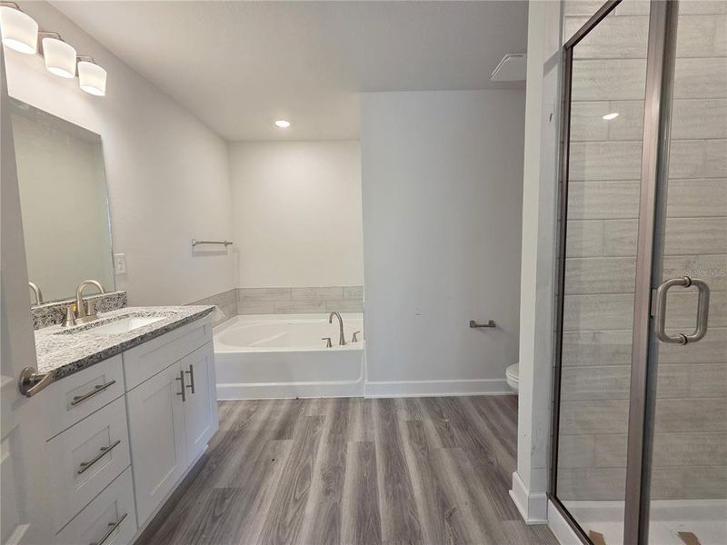 Furnished interior view inside a new home in The Preserve at Laurel Lake, Lake City (Image 7).