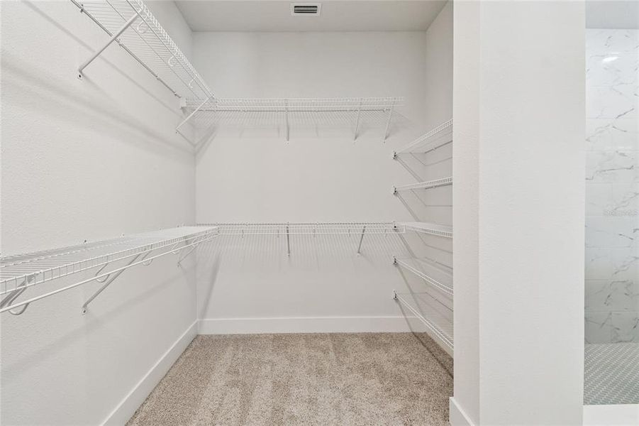 Spacious, unfurnished interior of a new home in Vistera of Venice – Cottage Series, Nokomis (Image 27).