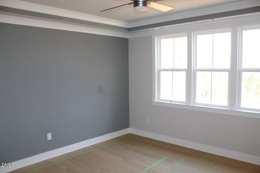 IMG_7442 (Medium) IMG_7442 (Medium)