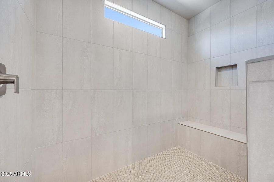 hj-az-phoenix-cantamia-portato-18147-w-t hj-az-phoenix-cantamia-portato-18147-w-t