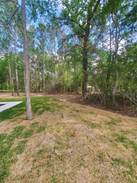 FRONT YARD AS SEEN FROM THE SIDEWALK FRONT YARD AS SEEN FROM THE SIDEWALK