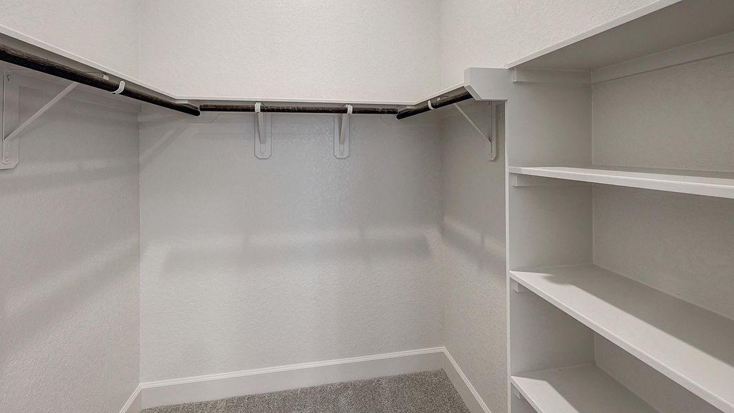 Spacious, unfurnished interior of a new home in Alsatian Oaks 50', Castroville (Image 18).