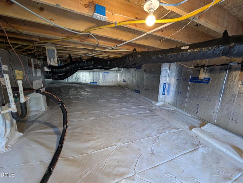 PXL_20251120_145020384