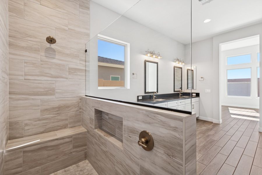 Owner's Bath