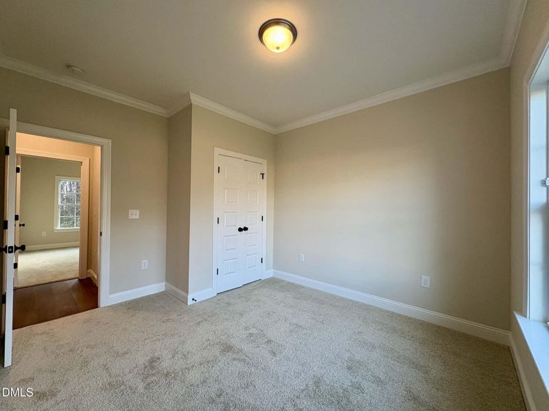 2419ca65-99ca-49c9-86fd-87de5f4482f6