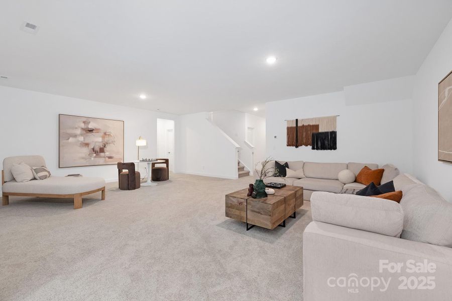 Basement Recreational area