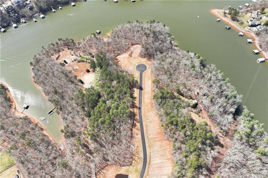 Natural landscape and outdoor views near  in Gainesville (Image 21).