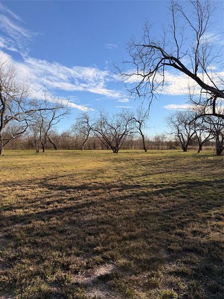 Natural landscape and outdoor views near  in Kemp (Image 24).