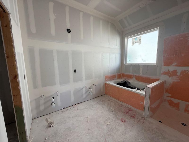 In-progress construction of a new home in Berry Creek Highlands, Georgetown, TX (Image 21). In-progress construction of a new home in Berry Creek Highlands, Georgetown, TX (Image 21).