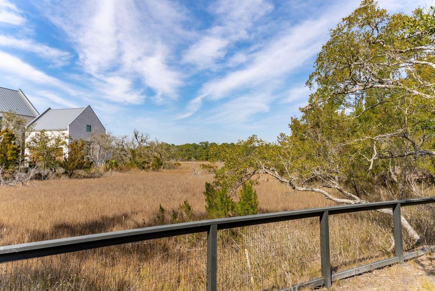 Natural landscape and outdoor views near Daniel Island Park in Charleston (Image 66).