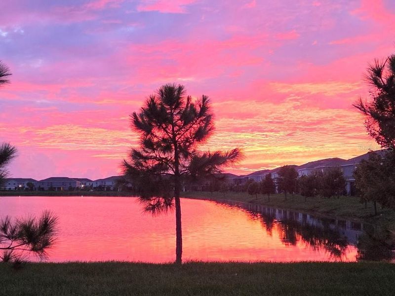 Natural landscape and outdoor views near  in Apollo Beach (Image 34).
