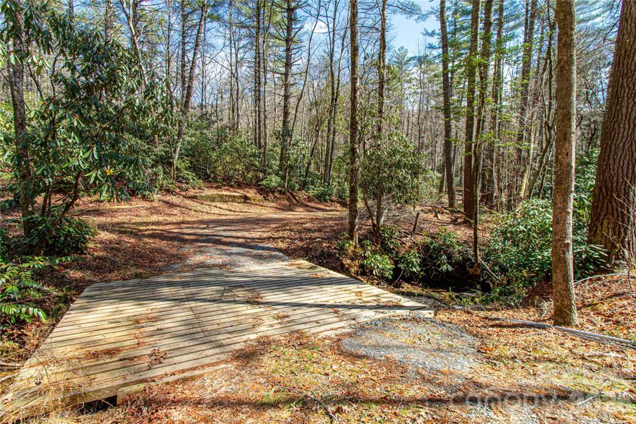 Natural landscape and outdoor views near  in Brevard (Image 24).