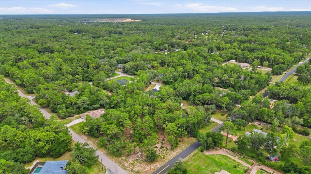 Natural landscape and outdoor views near in Hernando (Image 48). Natural landscape and outdoor views near in Hernando (Image 48).
