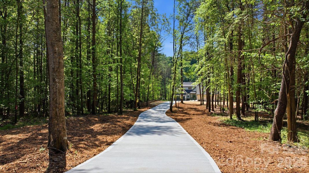 Expansive driveway