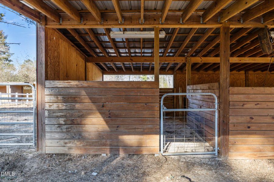 32-web-or-mls-IMG_9252