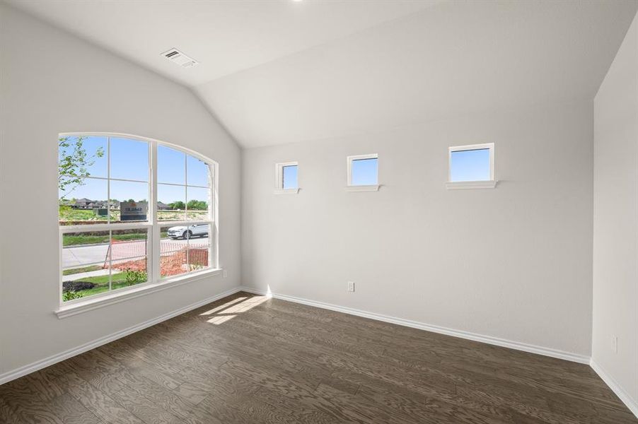 2845 Holstein- Study-1