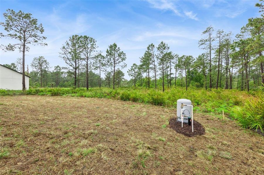 Natural landscape and outdoor views near in Eustis (Image 28). Natural landscape and outdoor views near in Eustis (Image 28).