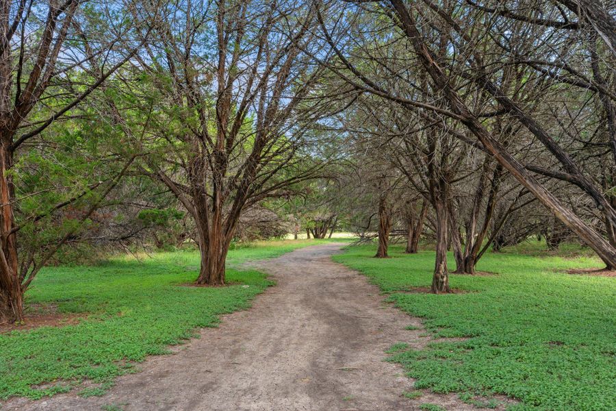 Natural landscape and outdoor views near Messinger Village in Austin (Image 34).