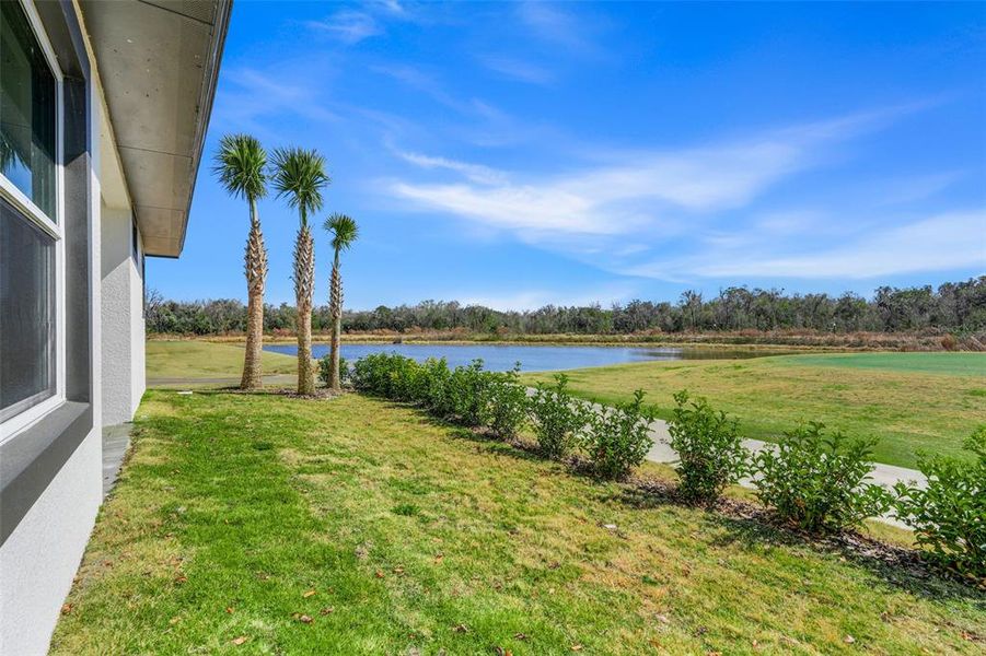 Exterior details and patio area of a home in Hampton Green at Providence, Davenport (Image 24).