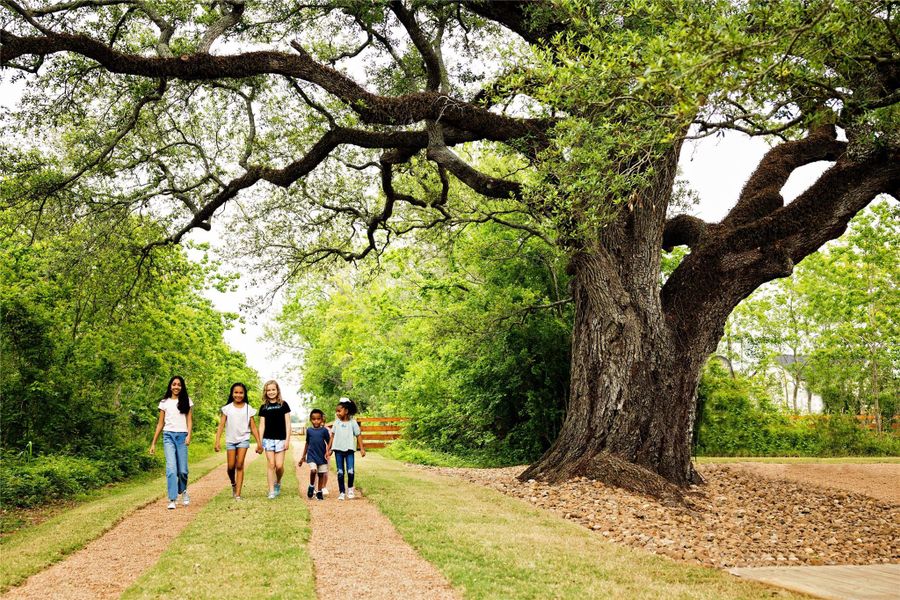 Image 37 of a home in Sienna. Image 37 of a home in Sienna.