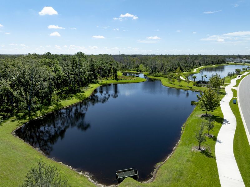 Natural landscape and outdoor views near Wildleaf in Parrish (Image 58).