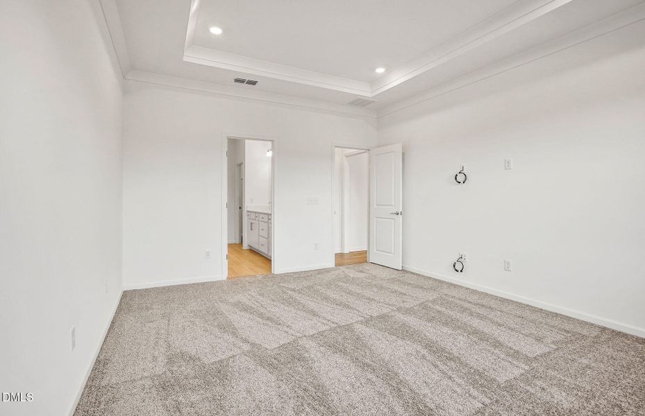 Kirby-model-charlotte (25).JPG