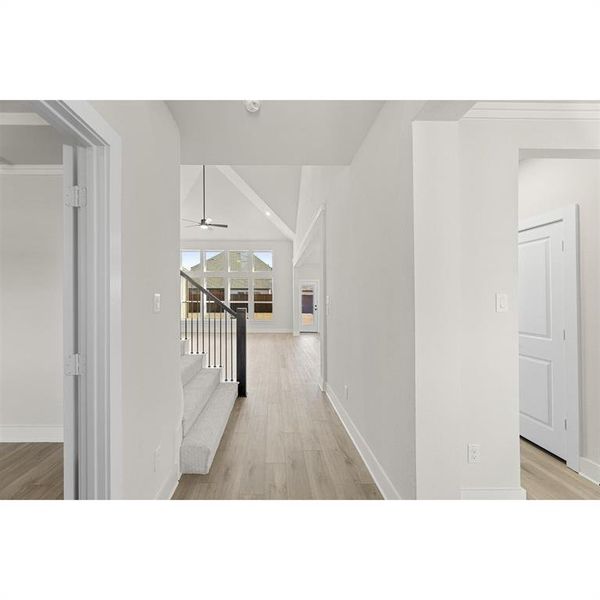 max1500 74723847 max1500 74723847