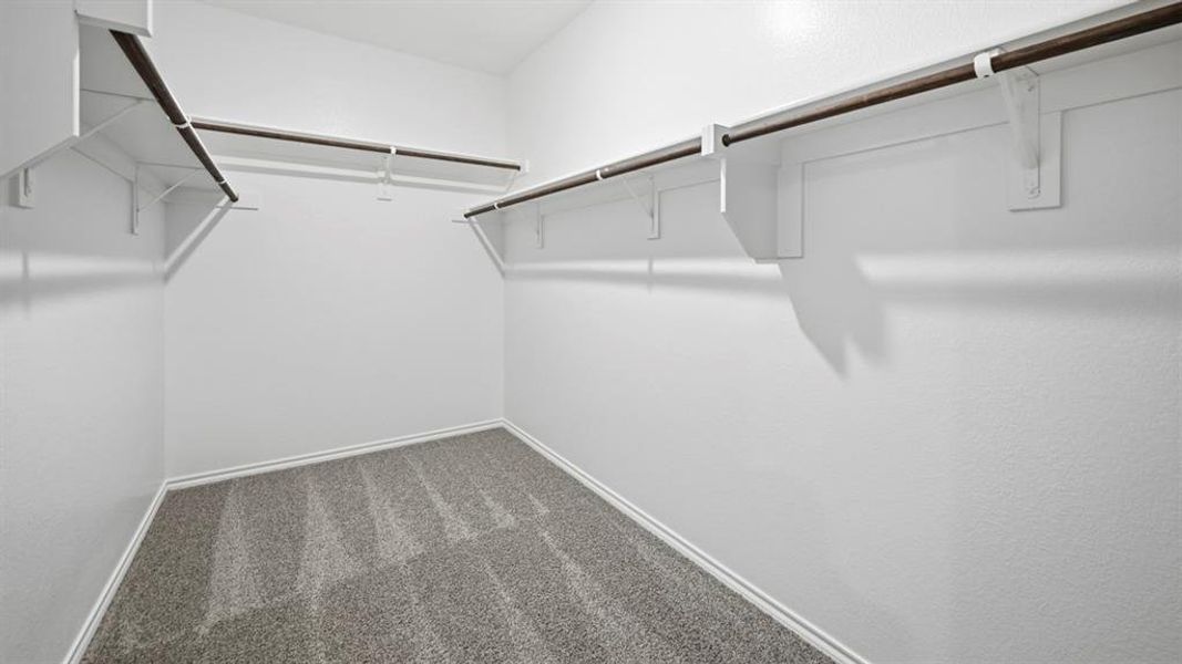 Walk in closet featuring dark carpet Walk in closet featuring dark carpet