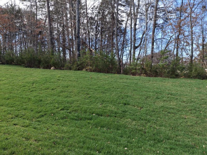 Natural landscape and outdoor views near Weybridge in Burlington (Image 44). Natural landscape and outdoor views near Weybridge in Burlington (Image 44).