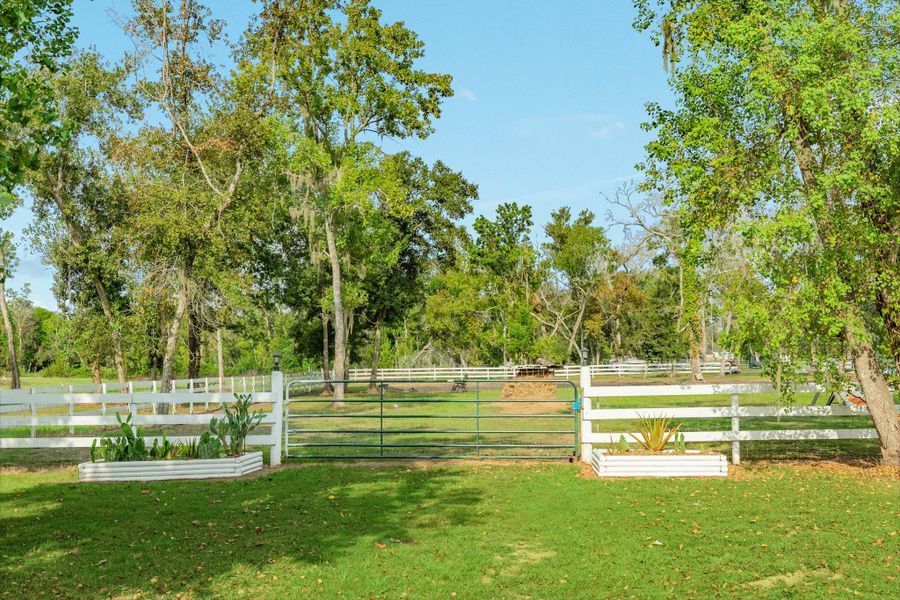 Natural landscape and outdoor views near  in Angleton (Image 38).
