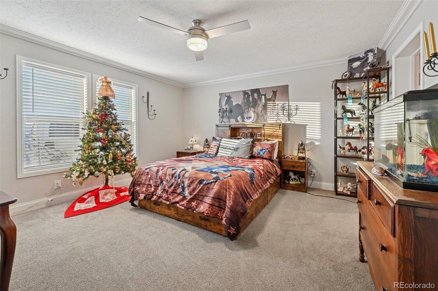 Furnished interior view inside a new home in , Calhan (Image 3).