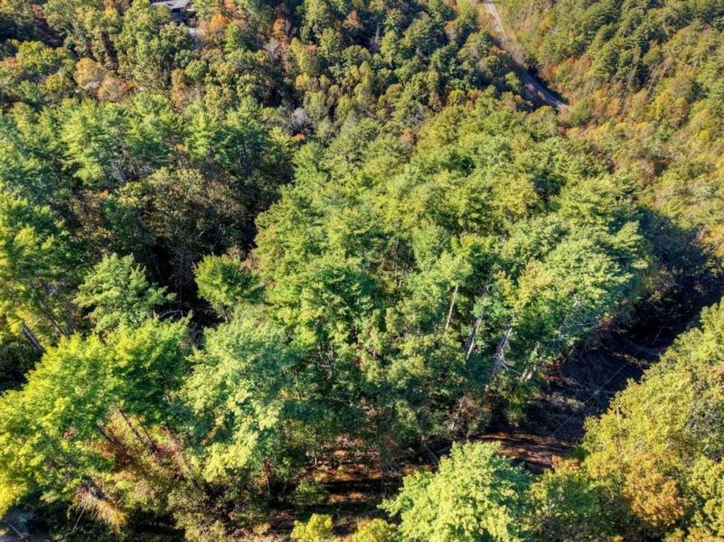 Natural landscape and outdoor views near  in Blue Ridge (Image 4).
